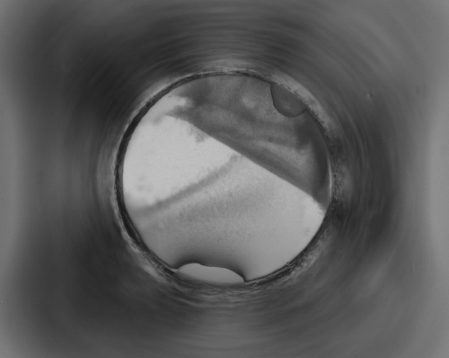 X0000086751039200705111651