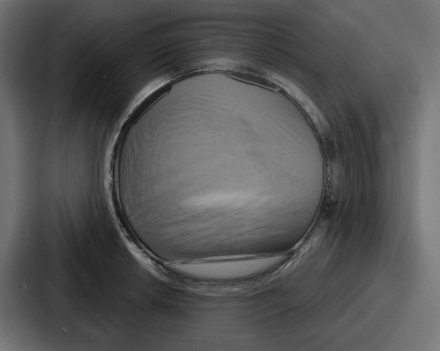 X0000086751042200705111651
