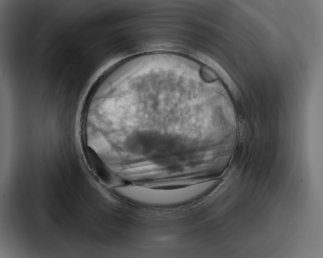 X0000086751043200705111651