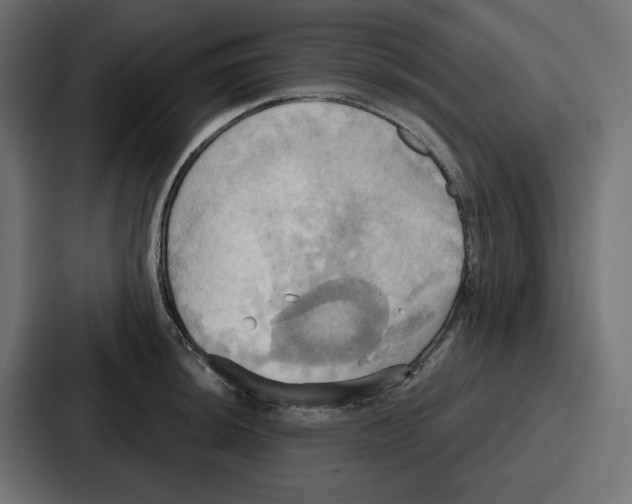 X0000086751044200705111651