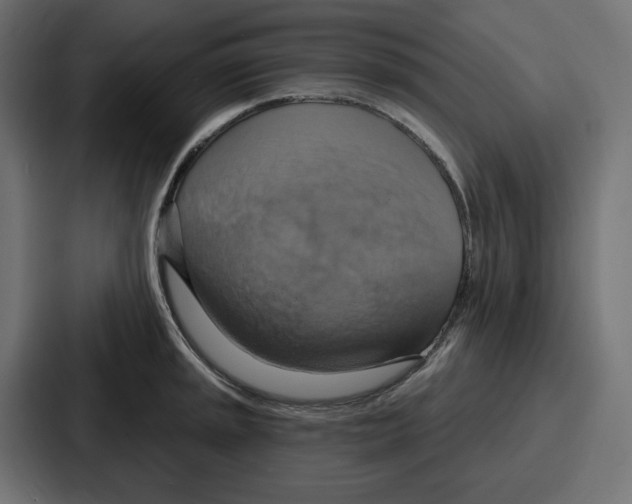 X0000086751045200705111651