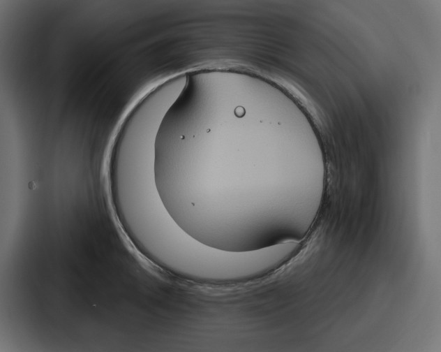 X0000086751046200705111651