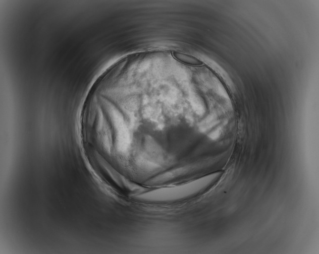 X0000086751047200705111651