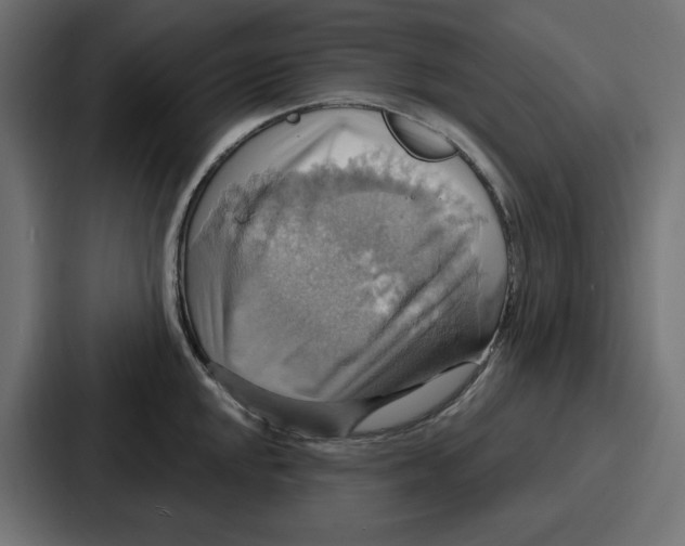 X0000086751048200705111651