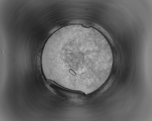 X0000086751049200705111651