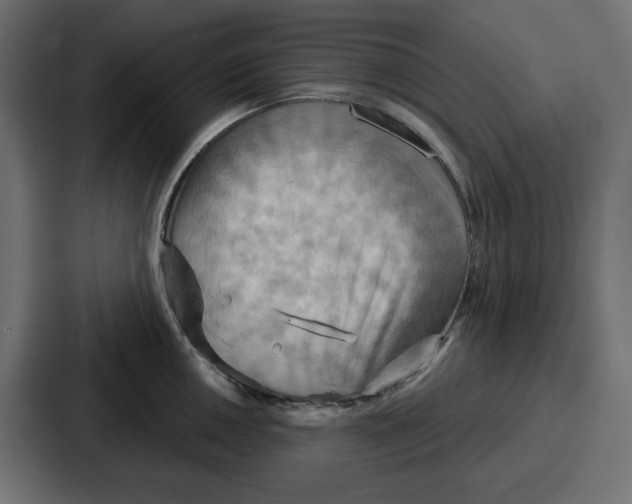 X0000086751050200705111651