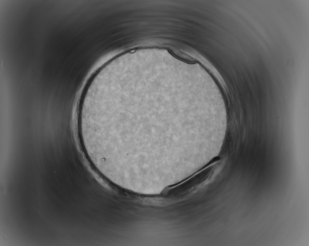 X0000086751053200705111651