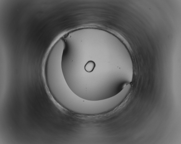X0000086751054200705111651