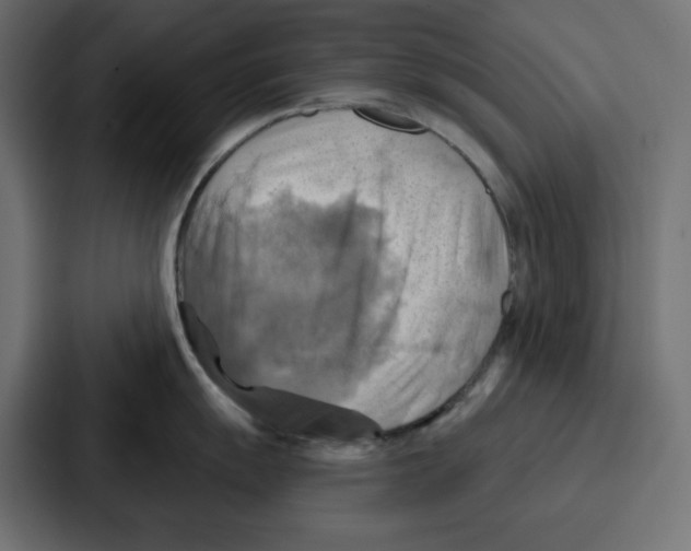 X0000086751055200705111651