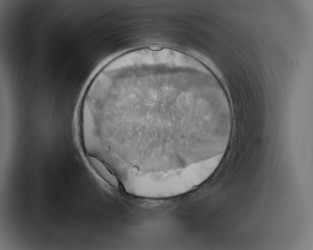 X0000086751056200705111651