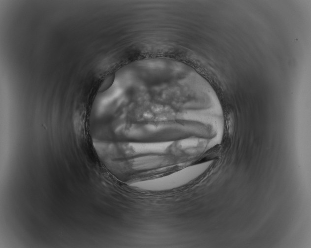 X0000086751059200705111650