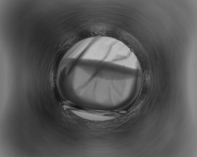 X0000086751060200705111650