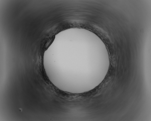 X0000086751061200705111650