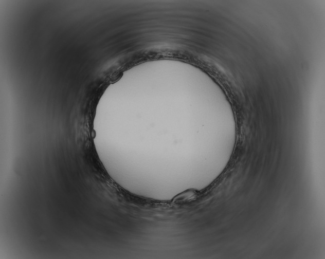 X0000086751062200705111650