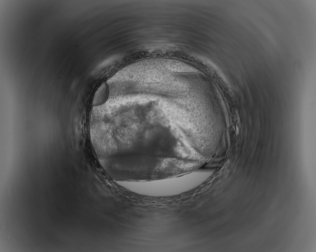 X0000086751063200705111650