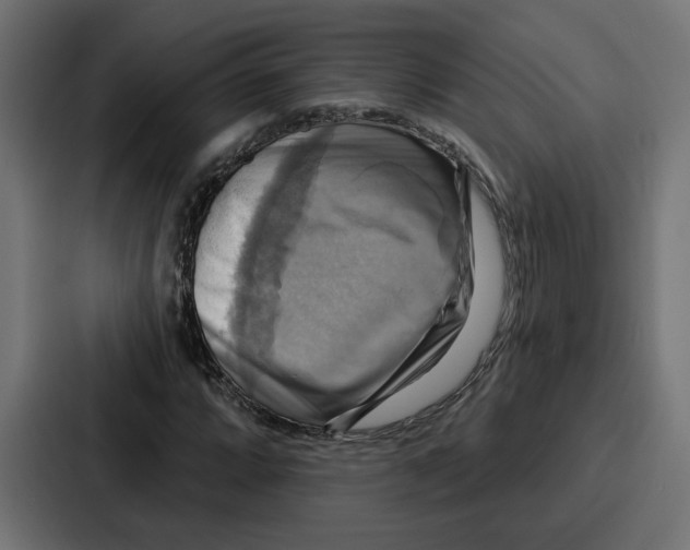 X0000086751064200705111650