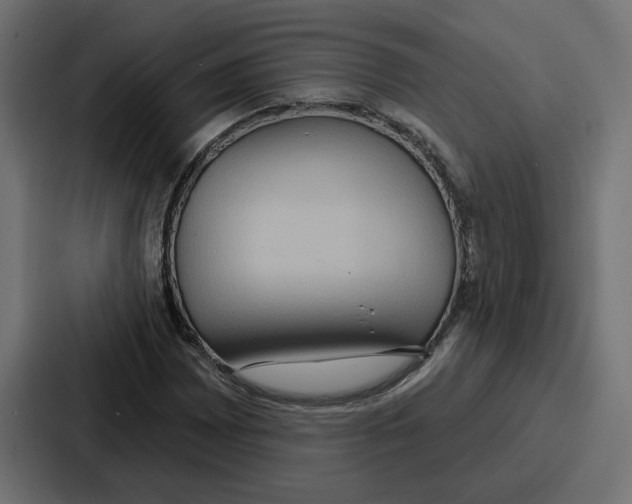 X0000086751065200705111650