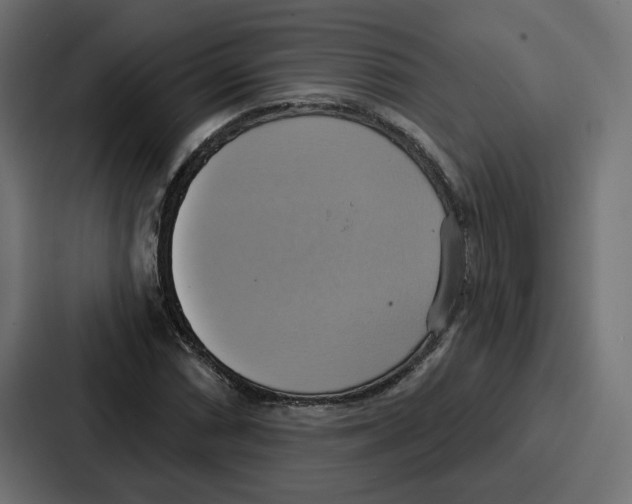 X0000086751066200705111650