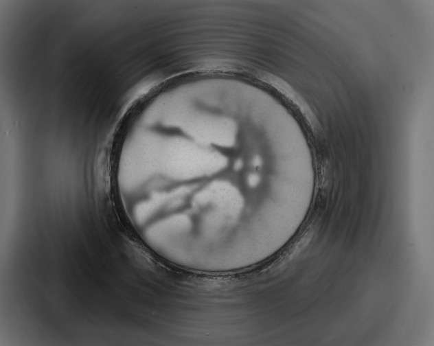 X0000086751067200705111650