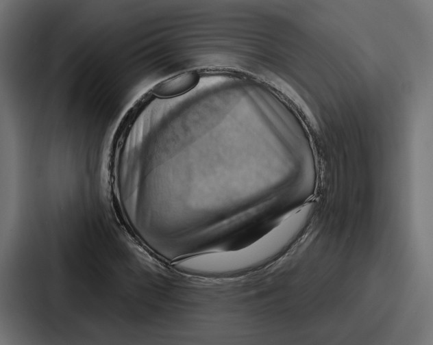 X0000086751068200705111650