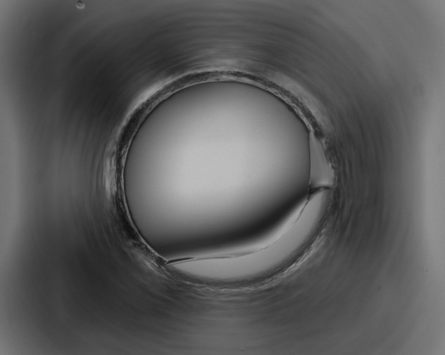 X0000086751069200705111650