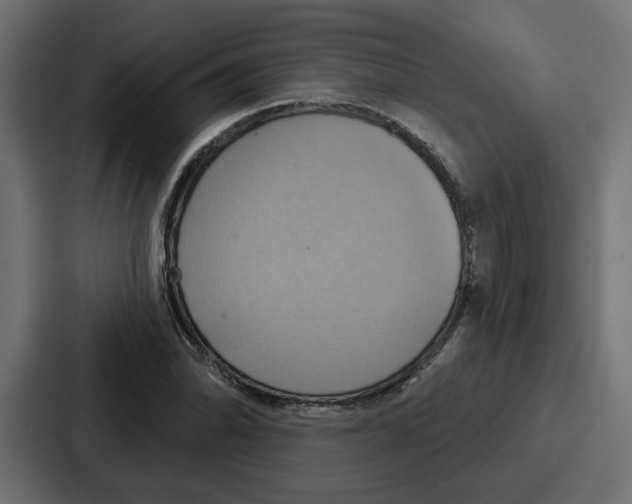 X0000086751070200705111650