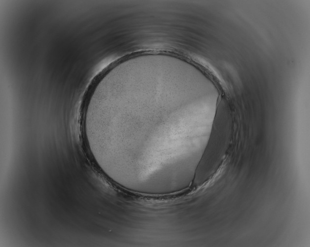 X0000086751071200705111650