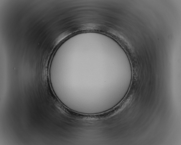 X0000086751073200705111650