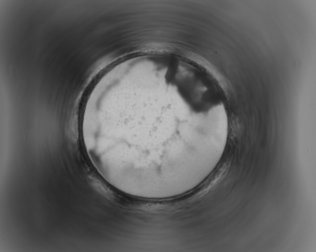 X0000086751075200705111650