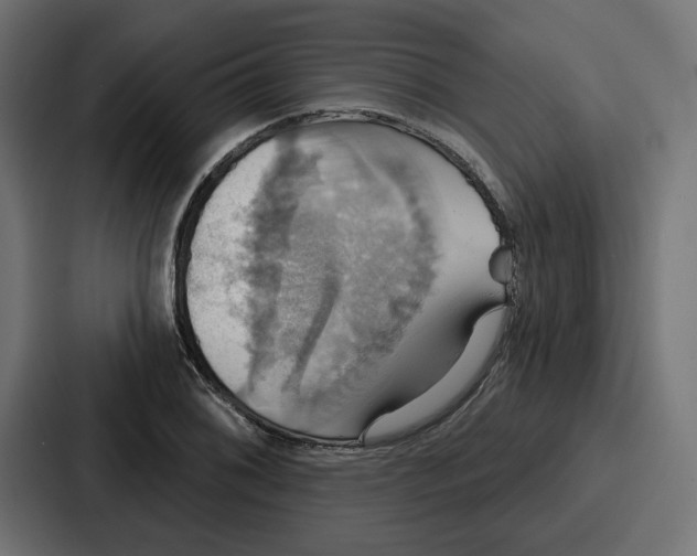 X0000086751076200705111650
