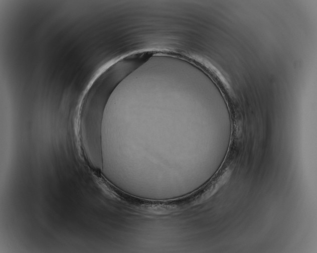 X0000086751077200705111650