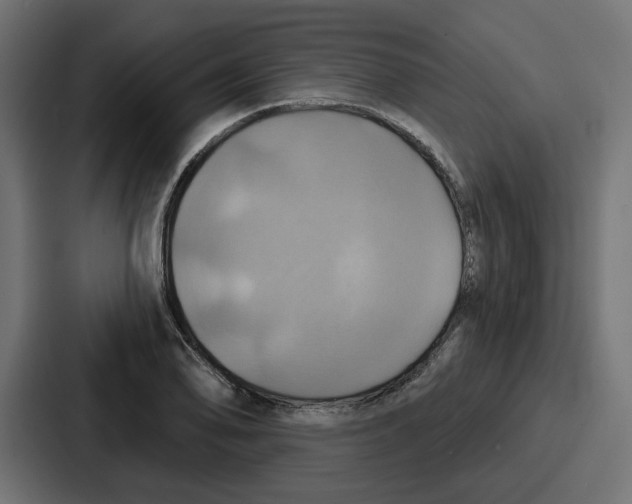 X0000086751078200705111650