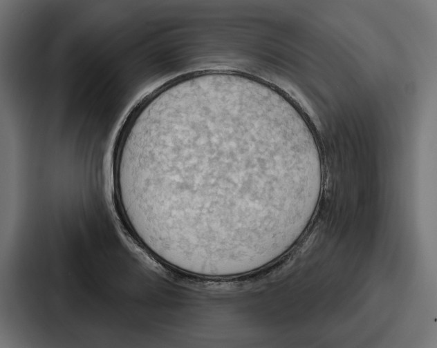 X0000086751080200705111650