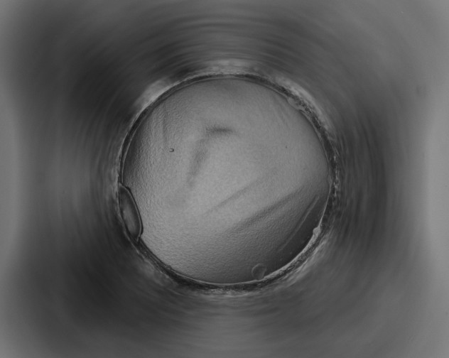 X0000086751081200705111650