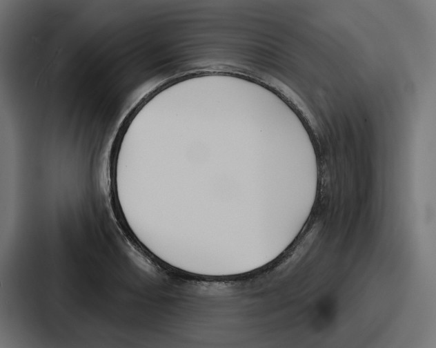 X0000086751082200705111650
