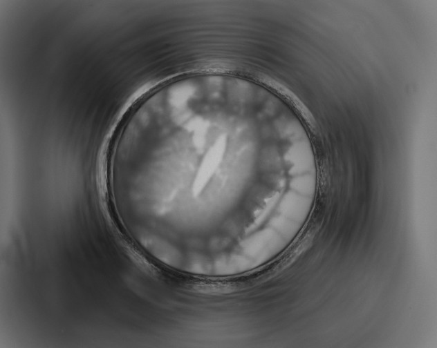 X0000086751083200705111650