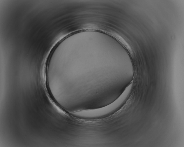 X0000086751084200705111650