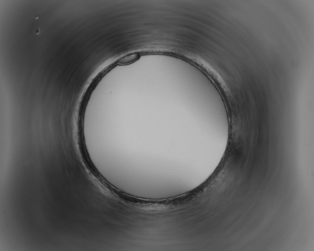 X0000086751085200705111650