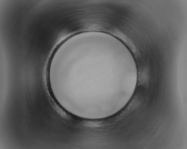 X0000086751086200705111650