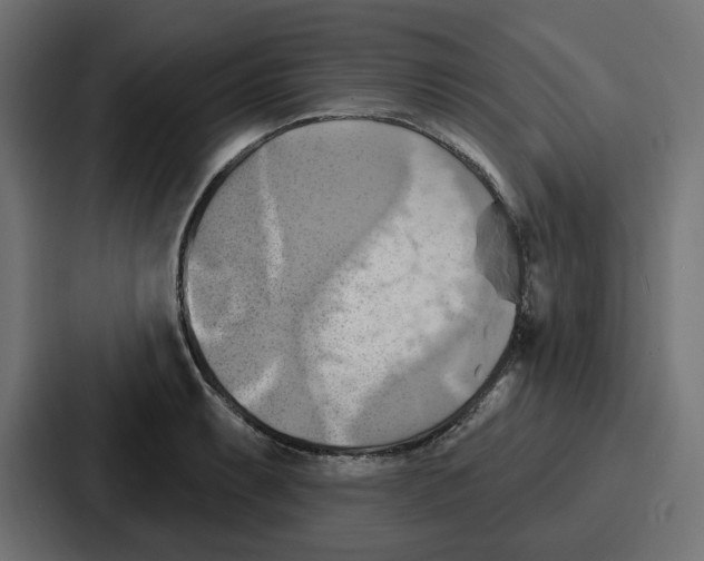 X0000086751087200705111650