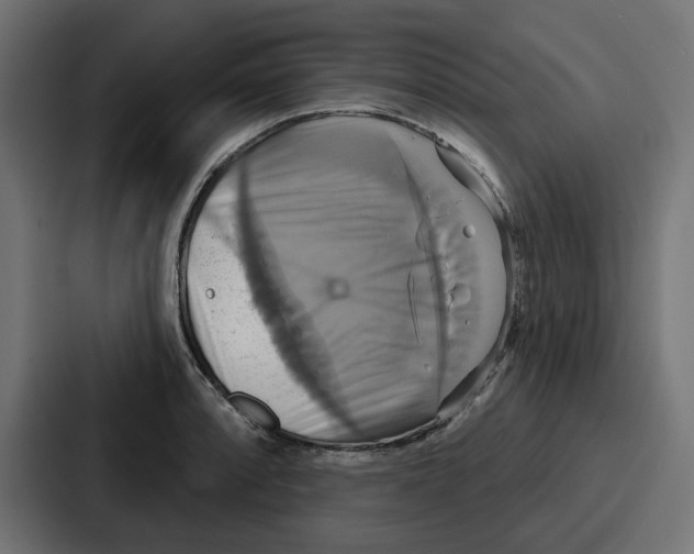 X0000086751088200705111650