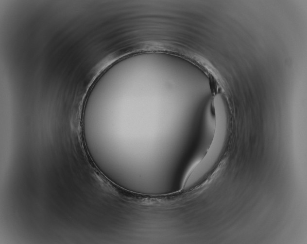 X0000086751089200705111650
