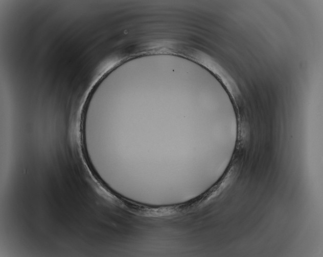 X0000086751090200705111650