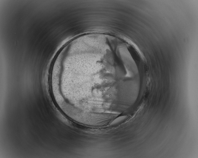 X0000086751091200705111650