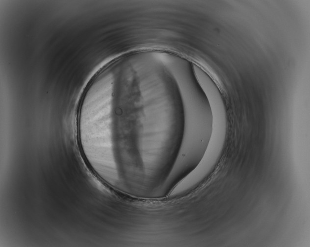 X0000086751092200705111650