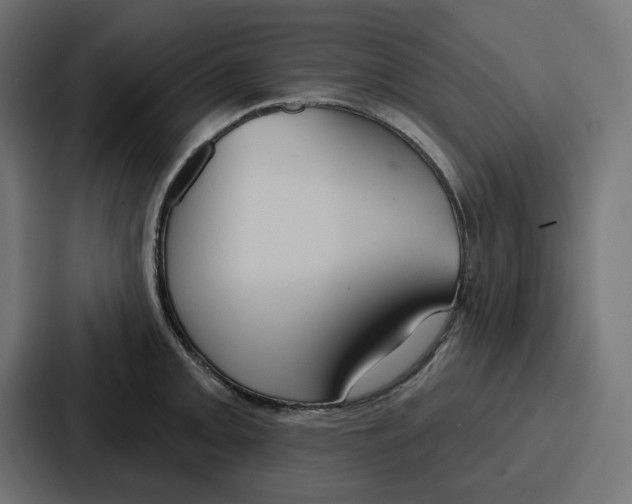 X0000086751093200705111650