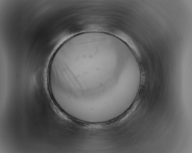 X0000086751094200705111650