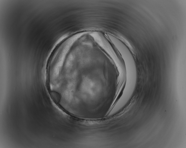 X0000086751095200705111650