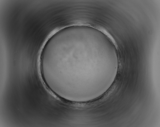X0000086751096200705111650