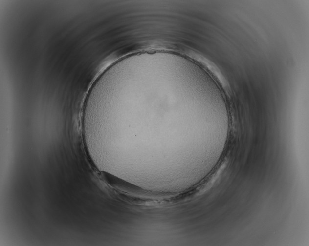 X0000086751097200705111650